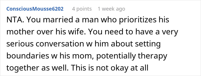 Reddit comment discussing boundaries with MIL during vacation with son and DIL.