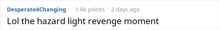 Reddit comment discussing a hazard light revenge moment related to a black driveway van.