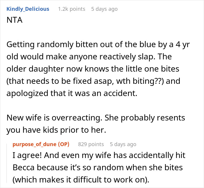 Man Gets A Reality Check About His “Evil Stepmother” Wife After Things Escalate Into Ultimatum