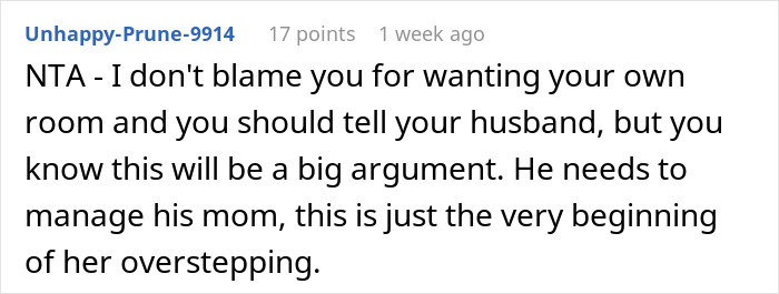 Reddit comment discussing MIL overstepping in son's vacation.