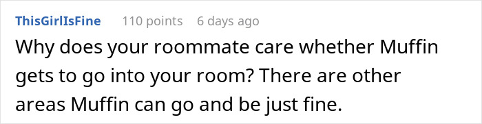 Text comment about a roommate's cat named Muffin accessing a room, suggesting other areas for the cat to explore.