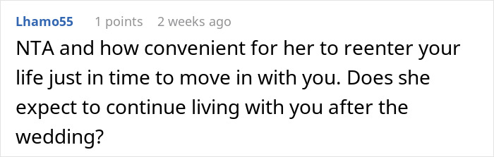 Reddit comment discussing a mother's return and wedding plans, questioning post-wedding living arrangements.