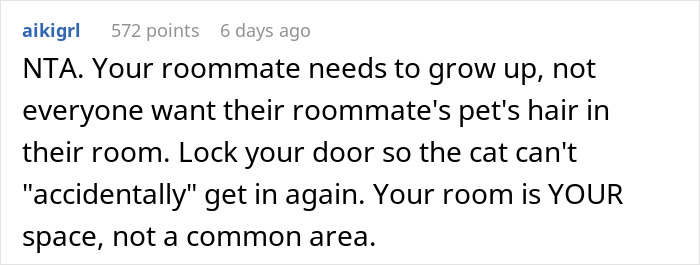 Reddit comment discussing a roommate's cat and a destroyed puzzle.