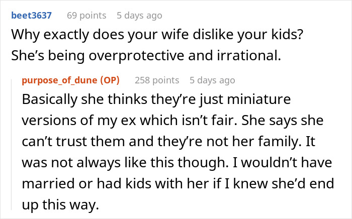 Man Gets A Reality Check About His “Evil Stepmother” Wife After Things Escalate Into Ultimatum