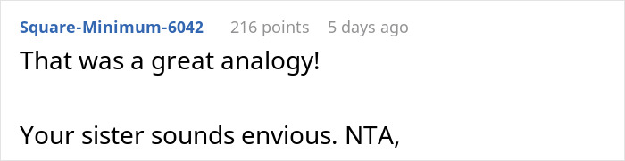 Reddit comment discussing a sister and baby analogy with "NTA" judgment.