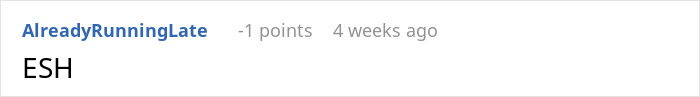 Reddit comment saying ESH with negative points and username AlreadyRunningLate.