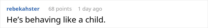 Comment on mom's son entitled behavior, reads 'He's behaving like a child.' on a forum post.