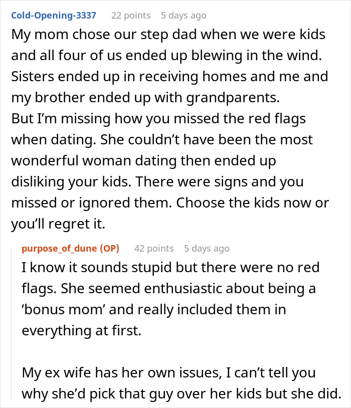 Man Gets A Reality Check About His “Evil Stepmother” Wife After Things Escalate Into Ultimatum