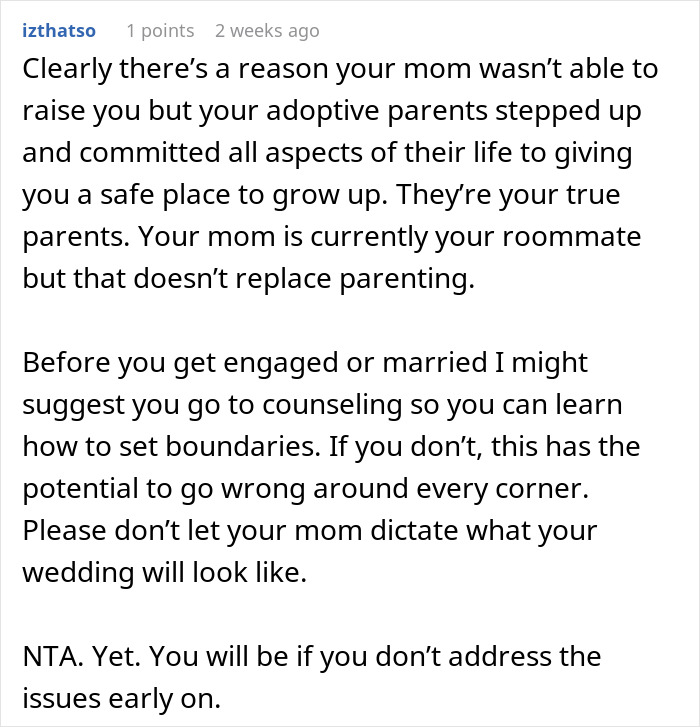 Reddit comment discussing boundaries and parental roles related to wedding planning.