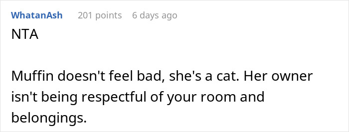 Text exchange about a roommate's cat destroying a lady's puzzle, discussing respect for belongings.