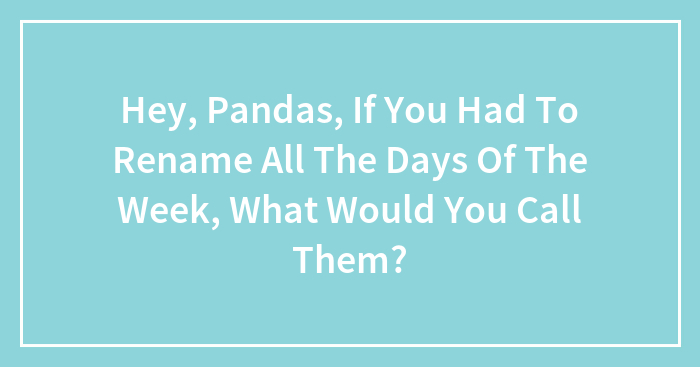 Hey Pandas, If You Had To Rename All The Days Of The Week, What Would You Call Them?