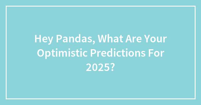 Hey Pandas, What Are Your Optimistic Predictions For 2025?