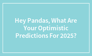 Hey Pandas, What Are Your Optimistic Predictions For 2025?