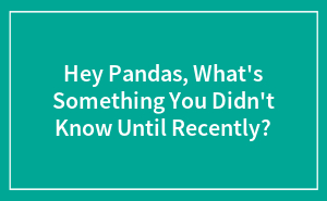 Hey Pandas, What’s Something You Didn’t Know Until Recently? (Closed)