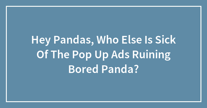 Hey Pandas, Who Else Is Sick Of The Pop Up Ads Ruining Bored Panda? (Closed)