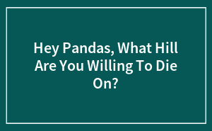 Hey Pandas, What Hill Are You Willing To Die On?