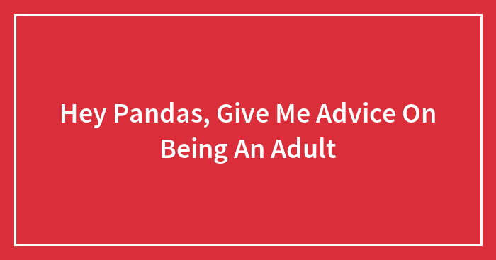 Hey Pandas, Give Me Advice On Being An Adult (Closed)