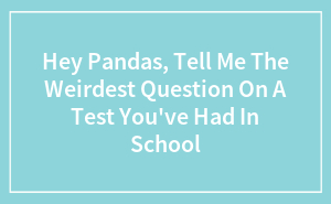 Hey Pandas, Tell Me The Weirdest Question On A Test You’ve Had In School