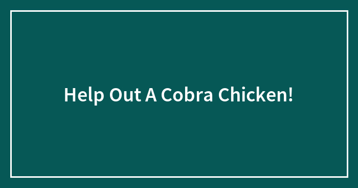 Help Out A Cobra Chicken!