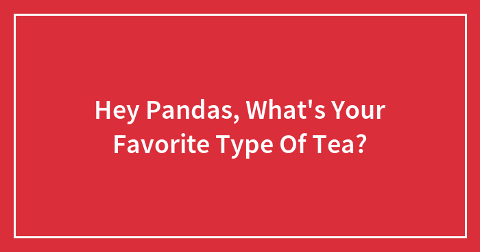 Hey Pandas, What’s Your Favorite Type Of Tea?