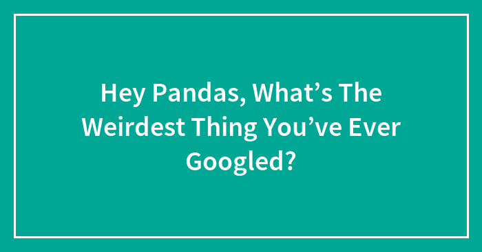 Hey Pandas, What’s The Weirdest Thing You’ve Ever Googled?