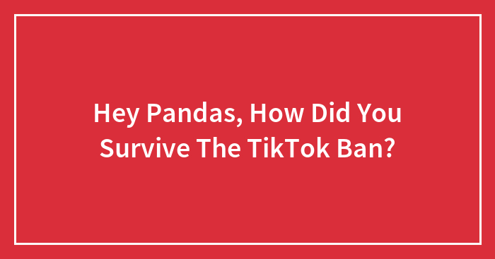 Hey Pandas, How Did You Survive The TikTok Ban? (Closed)