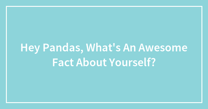 Hey Pandas, What's An Awesome Fact About Yourself?