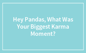 Hey Pandas, What Was Your Biggest Karma Moment?