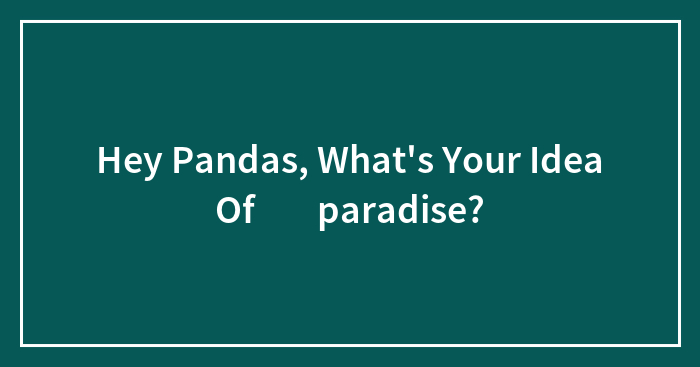 Hey Pandas, What’s Your Idea Of ​​paradise? (Closed)