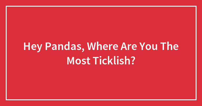 Hey Pandas, Where Are You The Most Ticklish? (Closed)