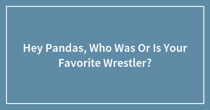 Hey Pandas, Who Was Or Is Your Favorite Wrestler? (Closed)