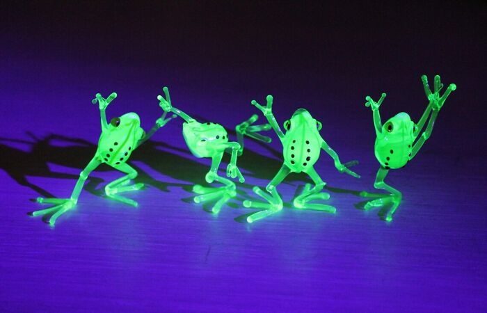 I Created Uranium Frogs That Glow Under The Ultraviolet Light For A Theme Party