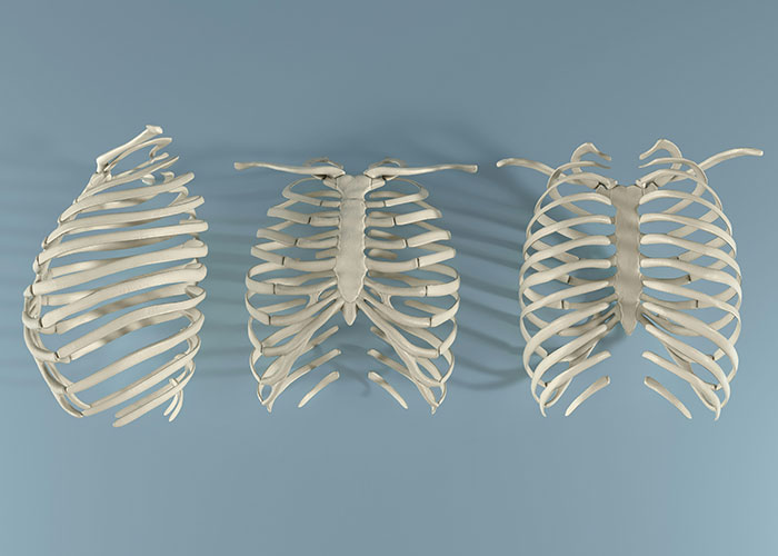 Three unsettling ribcage skeletons displayed on a blue background.