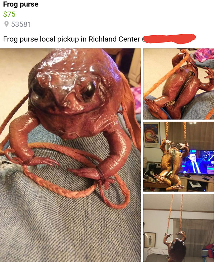 Creepy frog-shaped purse for sale, displayed in various angles and settings.