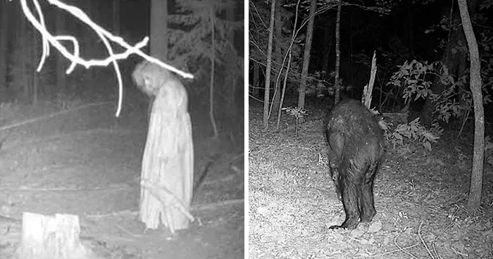 Trail Cam Pictures That Might Stop You From Going Outside Ever Again