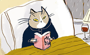 30 Whimsical Illustrations That Focus On Cats And Everyday Life, By Jamie Shelman