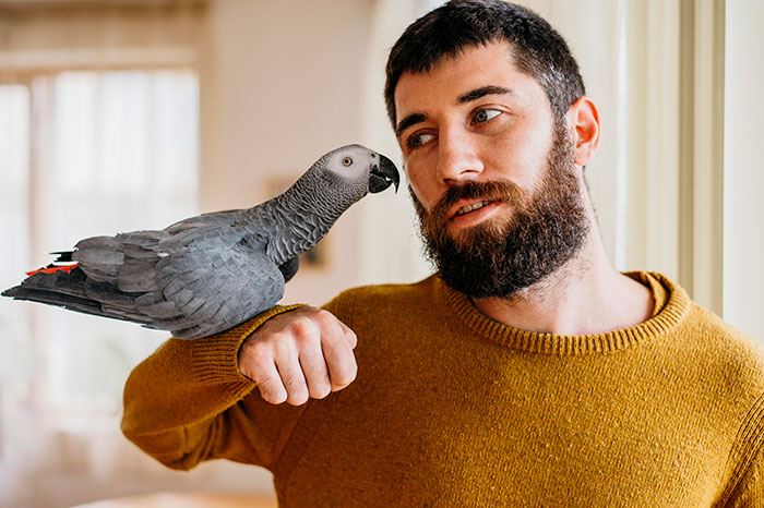 Man with a beard in a mustard sweater holds a parrot on his arm, showcasing adorable bonding moments.