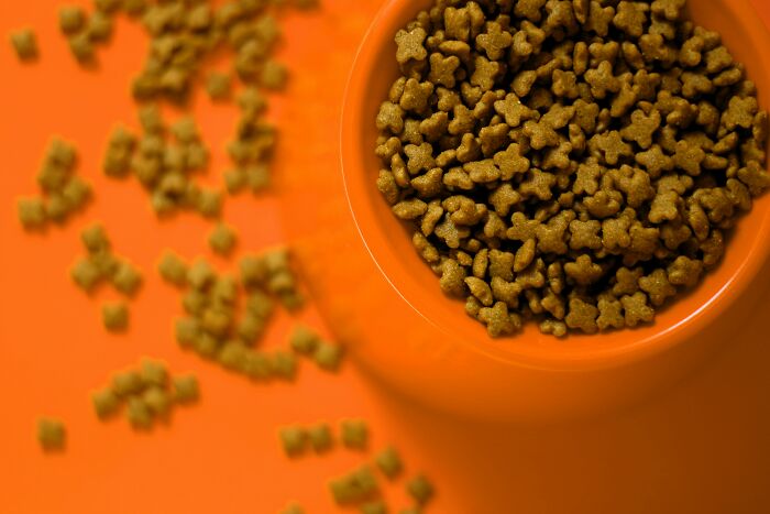 Bowl of pet food with scattered pellets on an orange background.