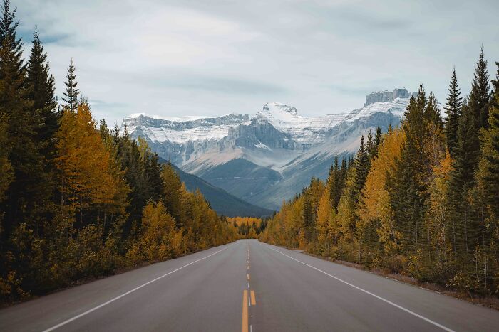 Road lined with trees leading to majestic mountains in the Tuscany region, Italy.