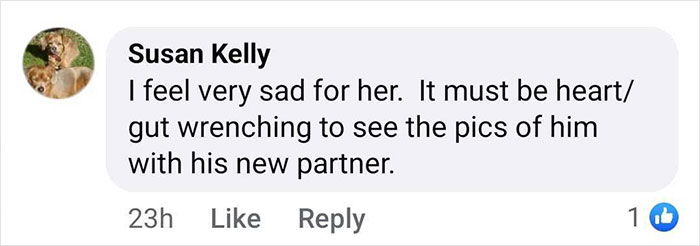 Comment about Deborra-Lee Furness reacting to Hugh Jackman's new photos and partner, expressing sadness.