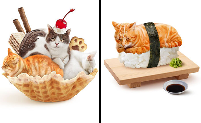 Purr-fectly Delicious: Cats Reimagined As Tasty Dishes By This Artist (20 Pics)