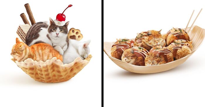 This Artist Serves Up Adorable Cat-Inspired Food Art (20 Pics)