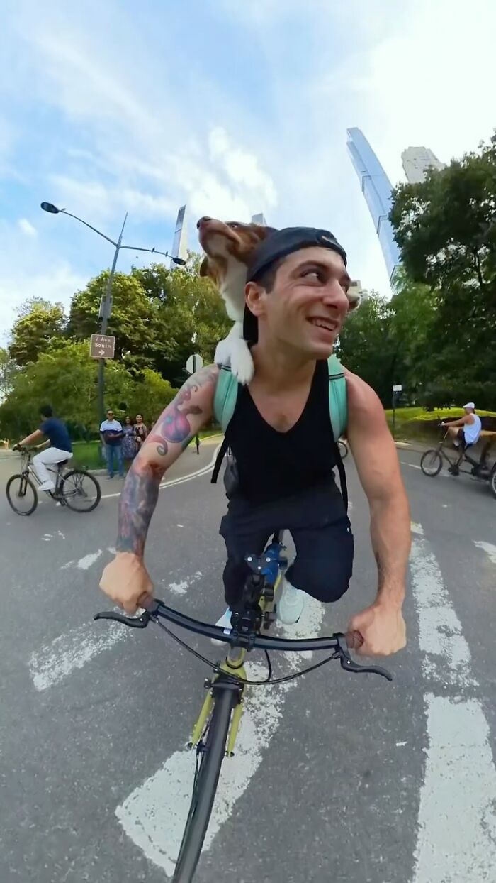 Man biking with a dog on his shoulder in NYC, capturing the playful energy and charm of the city.