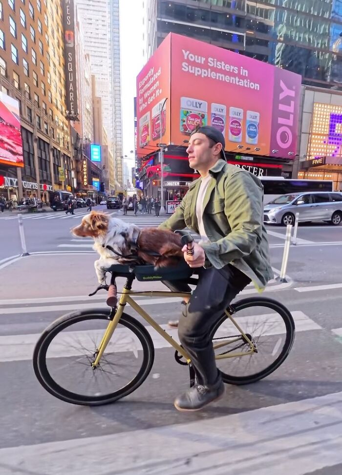 Dog riding on a bike in NYC, capturing attention with its antics.