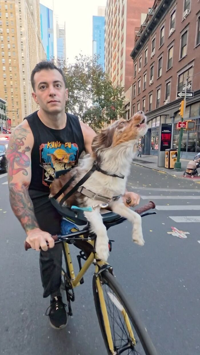 NYC dog howls on a bike ride, captivating onlookers amid skyscrapers.