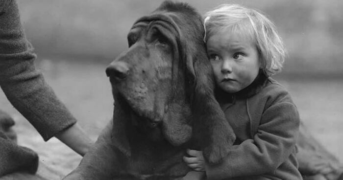 35 Best Dog-Themed Street Photos As Shared By The Street Photographers Foundation