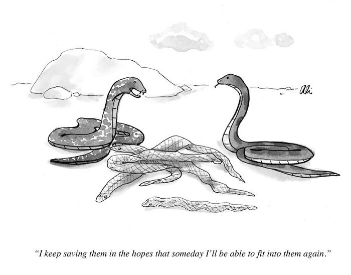 21 Clever And Witty One-Panel Comics By New Yorker Cartoonist Ali Solomon (New Pics)