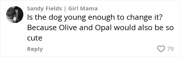 Comment about naming a dog after a baby, suggesting Olive or Opal as alternatives.