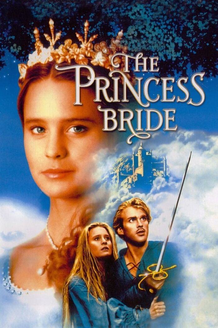 The Princess Bride film cover, showcasing a nostalgic fantasy adventure scene with characters and a castle.