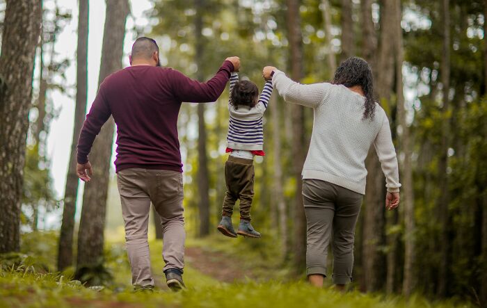 A family enjoys a walk through a forest.